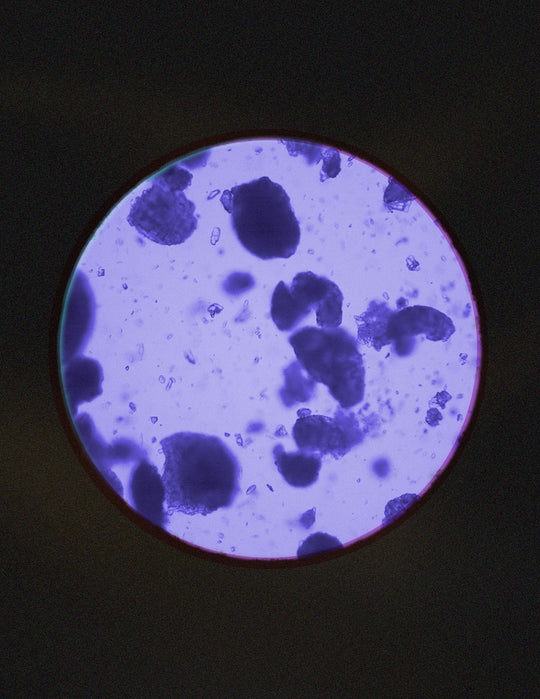 Niacinamide